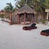 isla holbox