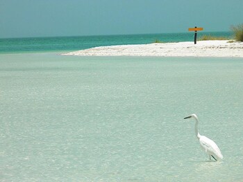 isla holbox