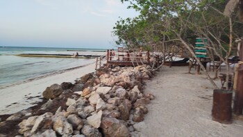 isla holbox