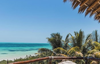 casa punta coco adults only
