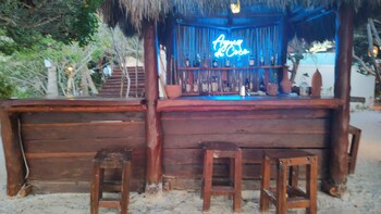 casa punta coco adults only