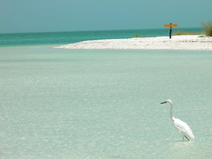 isla holbox