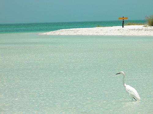 isla holbox