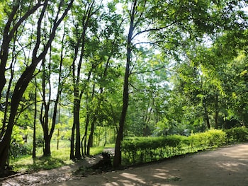 baan maka nature lodge