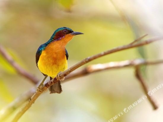 baan maka nature lodge