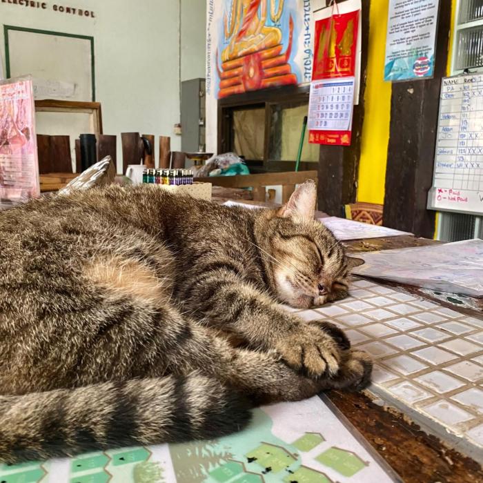 chill out bar and bungalows