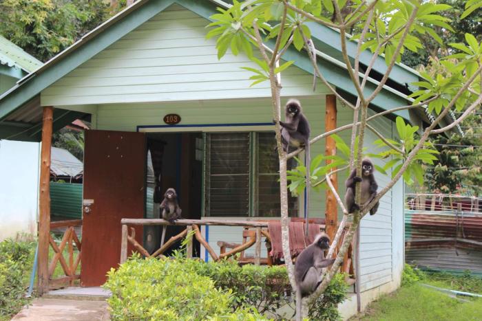 chill out bar and bungalows