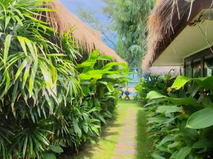 the bora bora bed and dream