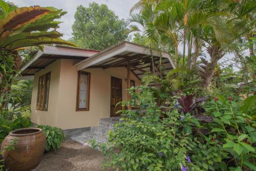 the bananas bungalow