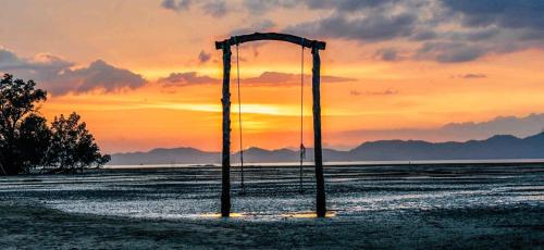 the bananas bungalow