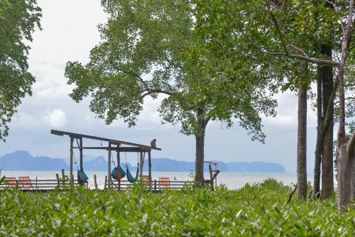 the bananas bungalow