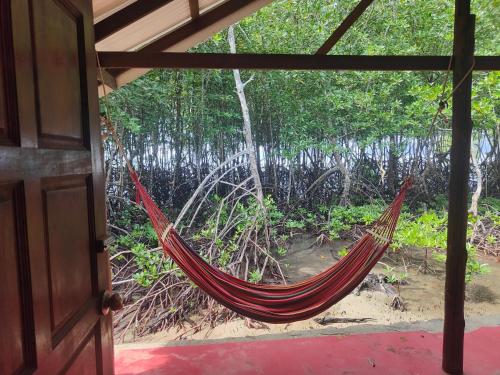 the bananas bungalow