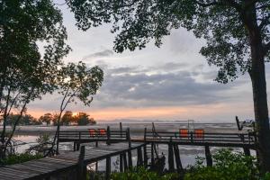 the bananas bungalow