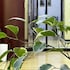 hayot hostel