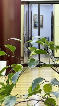 hayot hostel