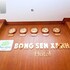 bong sen xanh hotel