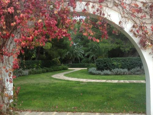 foggia