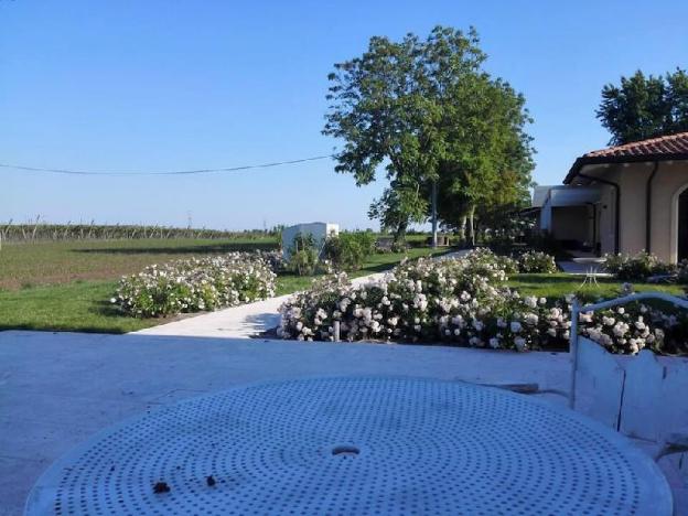 agriturismo la borina