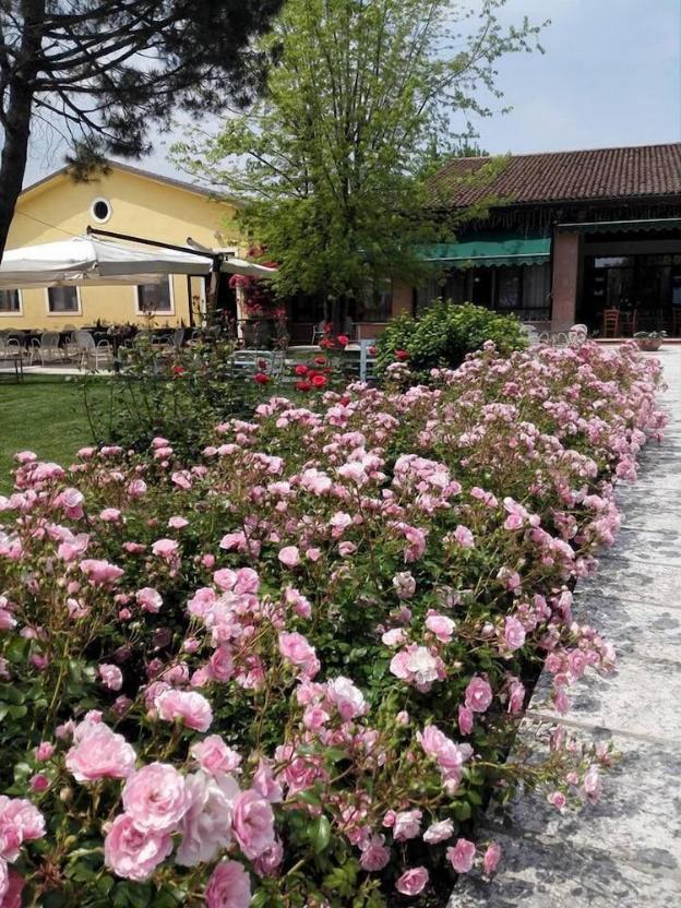 agriturismo la borina