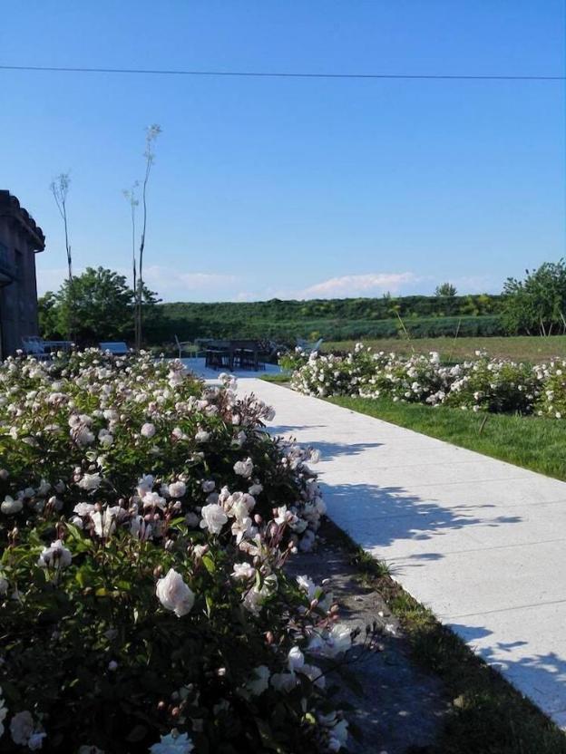 agriturismo la borina