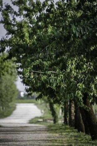 agriturismo la borina