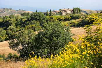 cinigiano