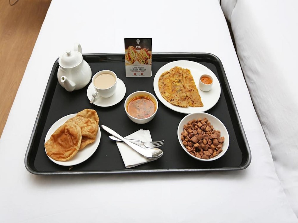 oyo 16905 the rohtak hyatt