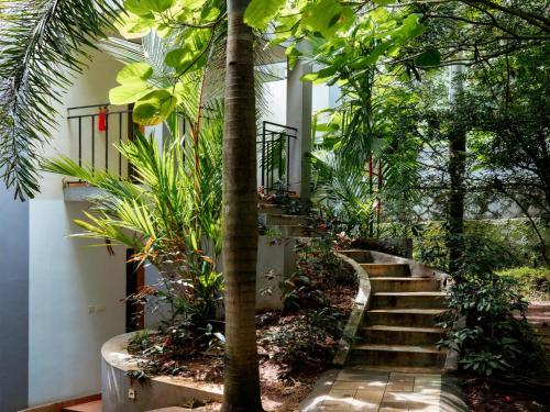 casa rio resort athirapilly