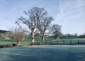 green grove country house