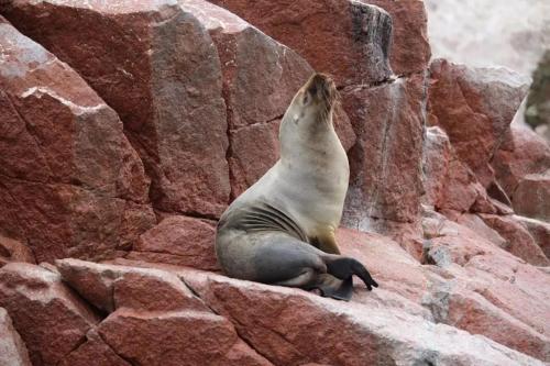 atenas backpacker hospedaje