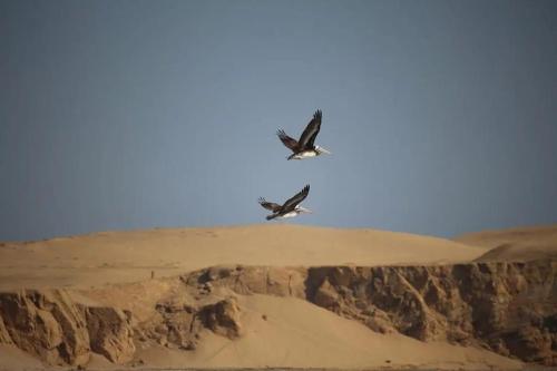 atenas backpacker hospedaje