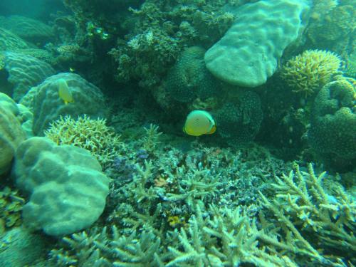 playa encantada beach resort