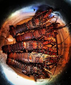 playa encantada beach resort