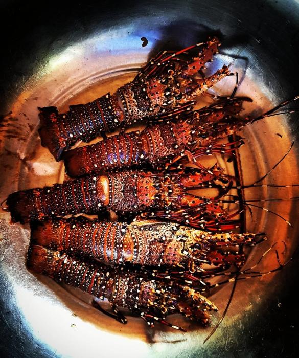 playa encantada beach resort