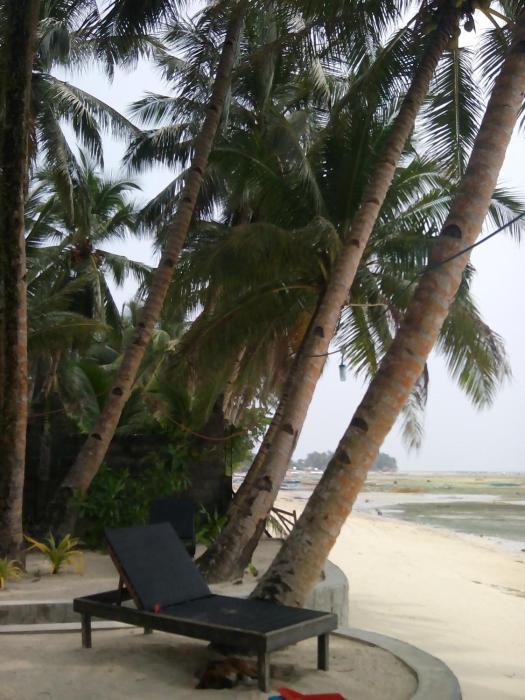 eddies beach resort siargao