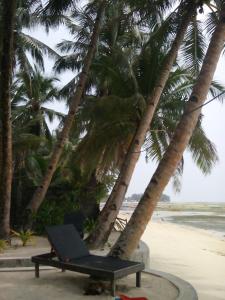 eddies beach resort siargao