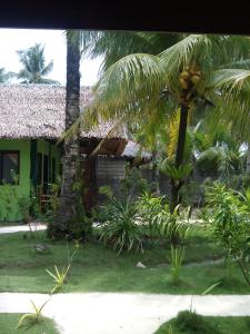 eddies beach resort siargao