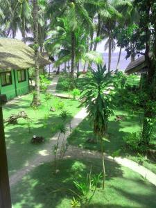 eddies beach resort siargao