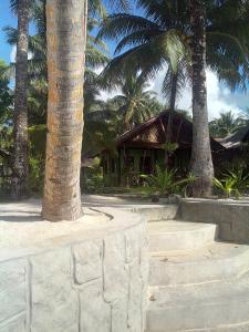 eddies beach resort siargao