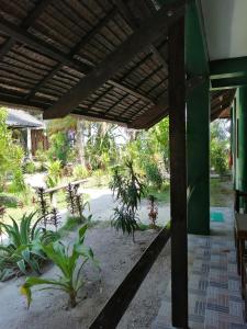 eddies beach resort siargao