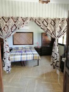 eddies beach resort siargao