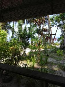 eddies beach resort siargao