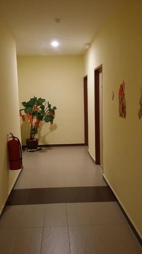 mass hotel