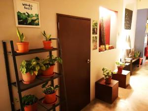 sunset homestay 2 self checkin