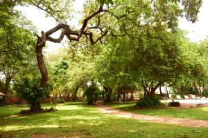 Shoestrings Backpackers & Bar,Near Victoria Falls,2 star