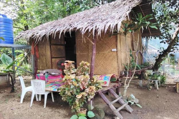 wassana camp and khai jungle experience centour