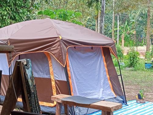 wassana camp and khai jungle experience centour
