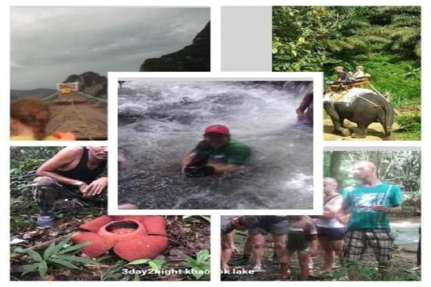 wassana camp and khai jungle experience centour