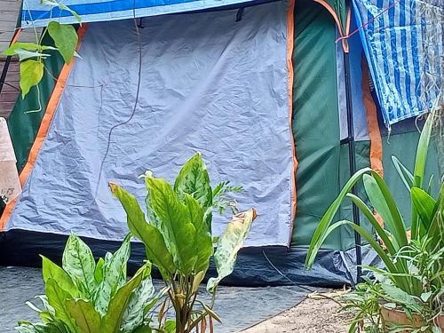 wassana camp and khai jungle experience centour