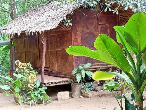 wassana camp and khai jungle experience centour
